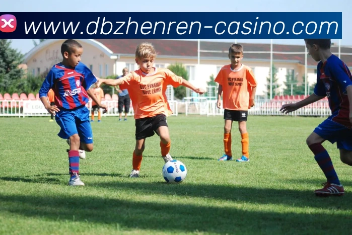 DB真人品牌故事