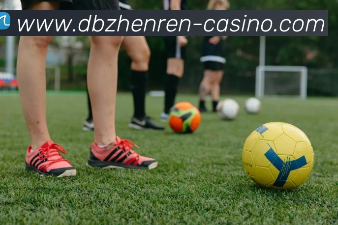 DB真人服务体系